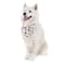 Sublimation Pet Bandana with Collar by Make Market®